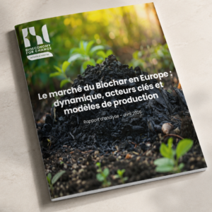 Le marché du biochar en Europe : dynamique, acteurs clés et modèles de production